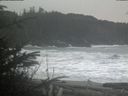 ./images/calvert/beach/20200111/beach20200111_114502.jpg
