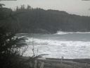 ./images/calvert/beach/20200111/beach20200111_122502.jpg