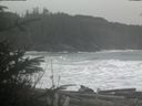 ./images/calvert/beach/20200111/beach20200111_130501.jpg