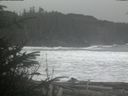 ./images/calvert/beach/20200111/beach20200111_131503.jpg