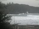 ./images/calvert/beach/20200111/beach20200111_141501.jpg