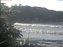 ./images/calvert/beach/20200112/beach20200112_120501.jpg