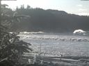 ./images/calvert/beach/20200112/beach20200112_122503.jpg