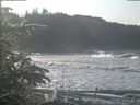 ./images/calvert/beach/20200112/beach20200112_123503.jpg
