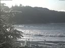 ./images/calvert/beach/20200112/beach20200112_124003.jpg