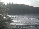 ./images/calvert/beach/20200112/beach20200112_125003.jpg