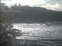 ./images/calvert/beach/20200112/beach20200112_125503.jpg
