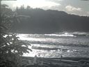 ./images/calvert/beach/20200112/beach20200112_130502.jpg