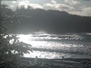 ./images/calvert/beach/20200112/beach20200112_131002.jpg