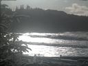 ./images/calvert/beach/20200112/beach20200112_131501.jpg