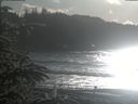 ./images/calvert/beach/20200112/beach20200112_140502.jpg