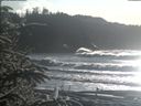 ./images/calvert/beach/20200112/beach20200112_142002.jpg
