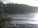 ./images/calvert/beach/20200112/beach20200112_142503.jpg