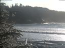 ./images/calvert/beach/20200112/beach20200112_143503.jpg