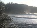 ./images/calvert/beach/20200112/beach20200112_144002.jpg