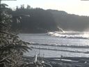 ./images/calvert/beach/20200112/beach20200112_144502.jpg