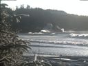 ./images/calvert/beach/20200112/beach20200112_145003.jpg
