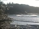 ./images/calvert/beach/20200112/beach20200112_145502.jpg