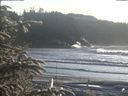 ./images/calvert/beach/20200112/beach20200112_152001.jpg