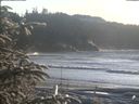./images/calvert/beach/20200112/beach20200112_152502.jpg