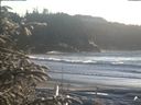 ./images/calvert/beach/20200112/beach20200112_154002.jpg