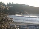 ./images/calvert/beach/20200112/beach20200112_155502.jpg