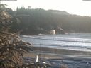 ./images/calvert/beach/20200112/beach20200112_161003.jpg