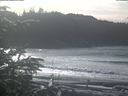 ./images/calvert/beach/20200113/beach20200113_125502.jpg