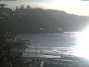 ./images/calvert/beach/20200113/beach20200113_141502.jpg