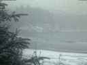 ./images/calvert/beach/20200116/beach20200116_081003.jpg