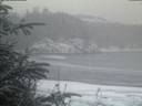 ./images/calvert/beach/20200116/beach20200116_082502.jpg
