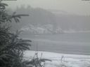 ./images/calvert/beach/20200116/beach20200116_083502.jpg