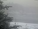 ./images/calvert/beach/20200116/beach20200116_090502.jpg