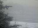 ./images/calvert/beach/20200116/beach20200116_091503.jpg