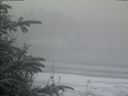 ./images/calvert/beach/20200116/beach20200116_092502.jpg