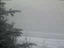 ./images/calvert/beach/20200116/beach20200116_093502.jpg