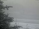 ./images/calvert/beach/20200116/beach20200116_094002.jpg