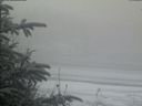 ./images/calvert/beach/20200116/beach20200116_094502.jpg