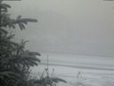 ./images/calvert/beach/20200116/beach20200116_095002.jpg
