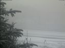 ./images/calvert/beach/20200116/beach20200116_095501.jpg
