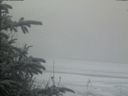 ./images/calvert/beach/20200116/beach20200116_100003.jpg