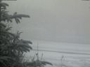 ./images/calvert/beach/20200116/beach20200116_100501.jpg