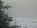 ./images/calvert/beach/20200116/beach20200116_101001.jpg