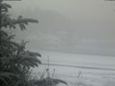 ./images/calvert/beach/20200116/beach20200116_101503.jpg