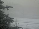 ./images/calvert/beach/20200116/beach20200116_102003.jpg