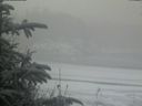 ./images/calvert/beach/20200116/beach20200116_102502.jpg