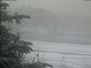 ./images/calvert/beach/20200116/beach20200116_103502.jpg