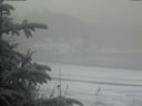 ./images/calvert/beach/20200116/beach20200116_104002.jpg