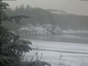 ./images/calvert/beach/20200116/beach20200116_110503.jpg