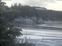 ./images/calvert/beach/20200116/beach20200116_114002.jpg